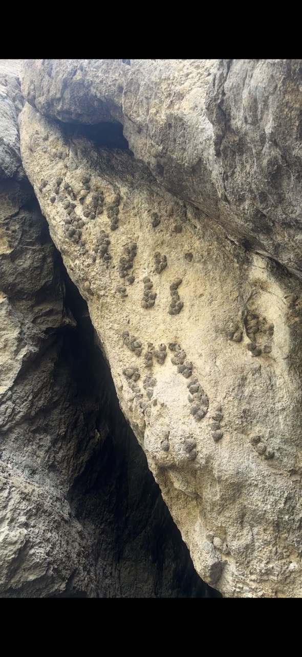 Хор Вирап — Пещера Магеллана — Пещера Арины — Нораванк — Джермук — Водопад «Волосы Русалки»